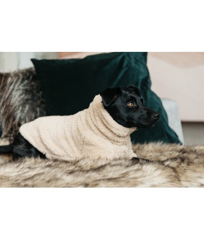 Kentucky Dog Sweater Teddy Fleece Pine Green