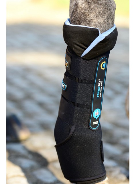 Ridershouse Kentucky Magnetic Stable Boots